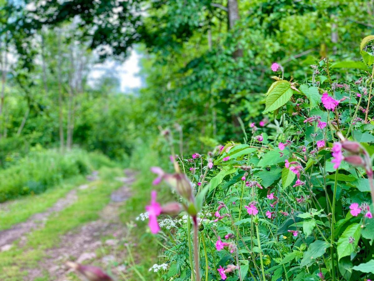 Giulio Mountain B&B Ala Eksteriør billede